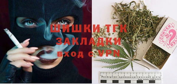 ALPHA PVP Гусев