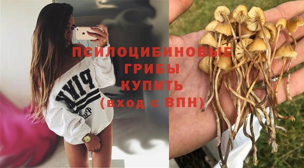 COCAINE Гусь-Хрустальный