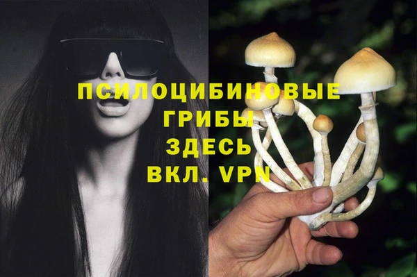 COCAINE Гусь-Хрустальный