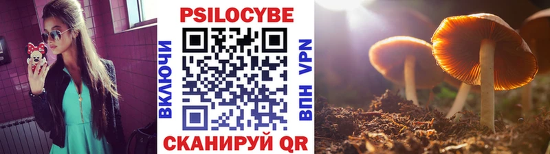 Галлюциногенные грибы прущие грибы  Купить где  Кашира 
