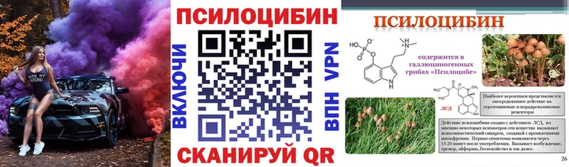Псилоцибиновые грибы мицелий Кашира